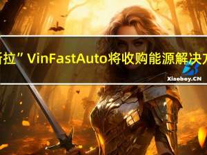 据报道“越南特斯拉”VinFast Auto将收购能源解决方案公司VinES 99.8%的股份