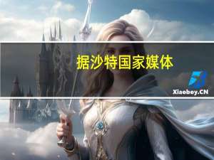 据沙特国家媒体：俄罗斯总统普京和沙特王储同意继续努力确保能源市场的稳定