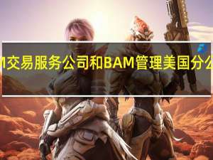 据相关法庭文件币安、BAM交易服务公司和BAM管理美国分公司向美国证交会提出保护令申请