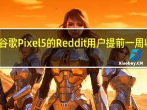 据称拥有谷歌Pixel 5的Reddit用户提前一周收到了安全更新