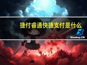 捷付睿通快捷支付是什么