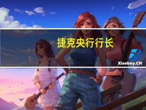 捷克央行行长：出售捷克储备收入不会影响捷克克朗