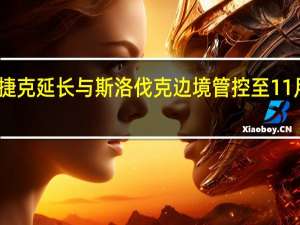 捷克延长与斯洛伐克边境管控至11月22日