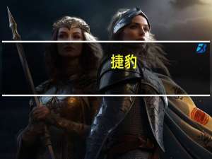 捷豹（关于捷豹的介绍）