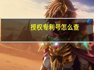 授权专利号怎么查