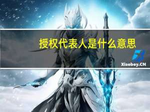 授权代表人是什么意思
