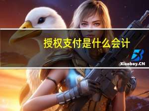 授权支付是什么会计