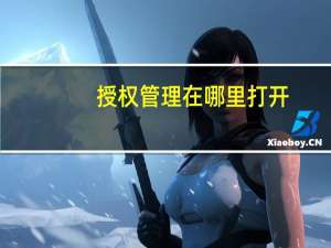 授权管理在哪里打开