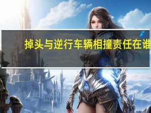 掉头与逆行车辆相撞责任在谁