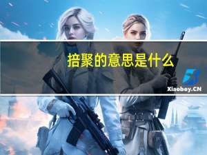 掊聚的意思是什么