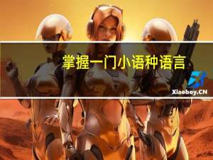 掌握一门小语种语言