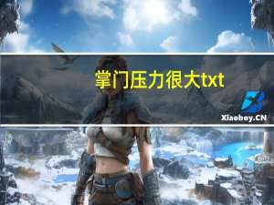 掌门压力很大txt（掌门压力很大txt）
