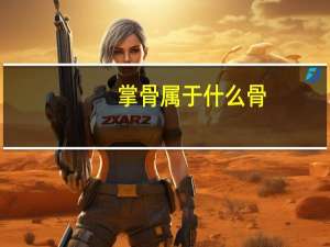 掌骨属于什么骨
