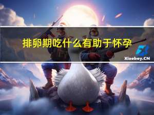 排卵期吃什么有助于怀孕（吃什么有助于怀孕）