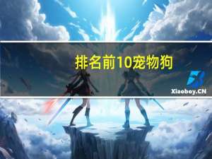 排名前10宠物狗