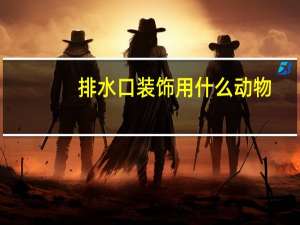 排水口装饰用什么动物