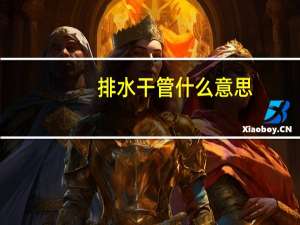 排水干管什么意思