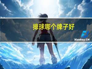 排球哪个牌子好