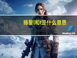 排量l和t是什么意思