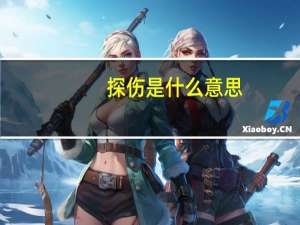 探伤是什么意思