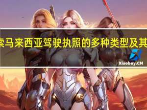 探索马来西亚驾驶执照的多种类型及其分类指南