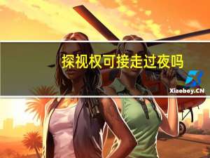 探视权可接走过夜吗