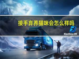 接手弃养猫咪会怎么样吗