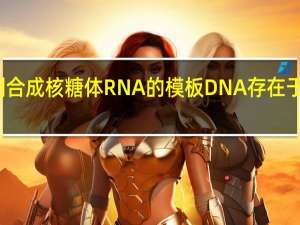 控制合成核糖体RNA的模板DNA存在于细胞中的