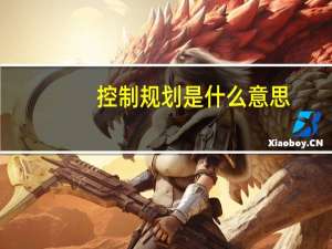 控制规划是什么意思