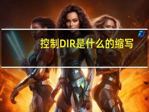 控制DIR是什么的缩写