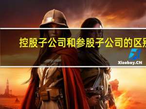 控股子公司和参股子公司的区别（控股子公司）