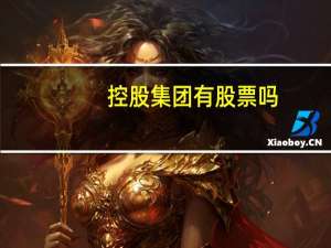 控股集团有股票吗