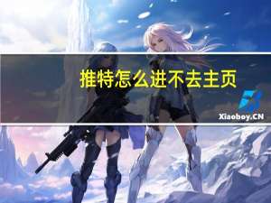 推特怎么进不去主页（推特怎么进）