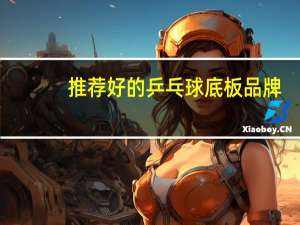 推荐好的乒乓球底板品牌