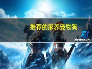 推荐的家养宠物狗