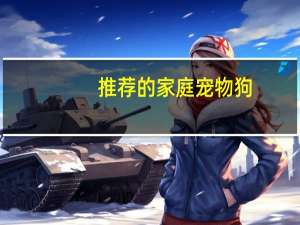 推荐的家庭宠物狗