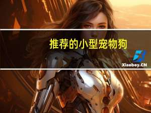 推荐的小型宠物狗
