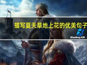 描写夏天草地上花的优美句子