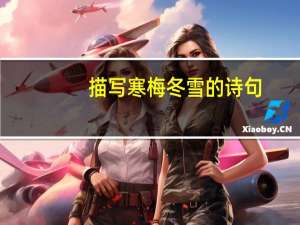 描写寒梅冬雪的诗句