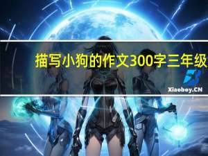 描写小狗的作文300字三年级（描写小狗的作文300字）