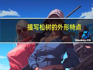 描写松树的外形特点