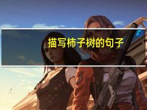 描写柿子树的句子