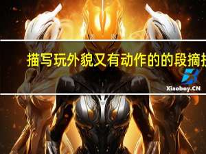 描写玩外貌又有动作的的段摘抄