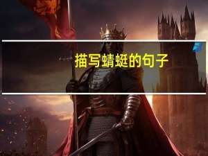 描写蜻蜓的句子