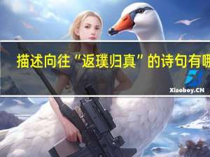 描述向往“返璞归真”的诗句有哪些