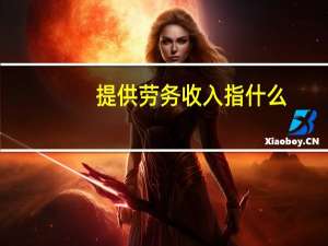 提供劳务收入指什么