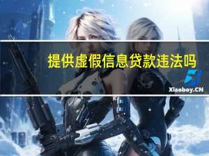 提供虚假信息贷款违法吗