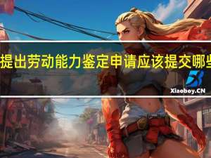 提出劳动能力鉴定申请应该提交哪些材料