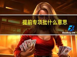 提前专项批什么意思