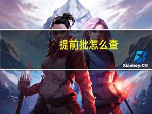 提前批怎么查